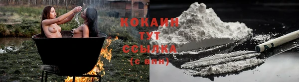 прущие крисы Костерёво