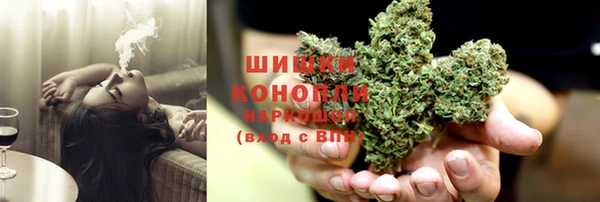 прущие крисы Костерёво