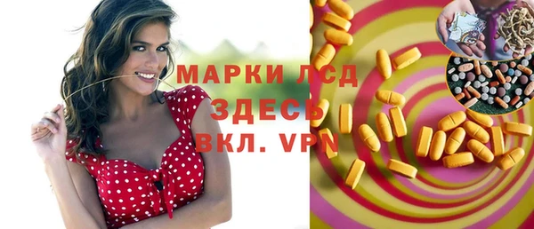 стафф Коряжма